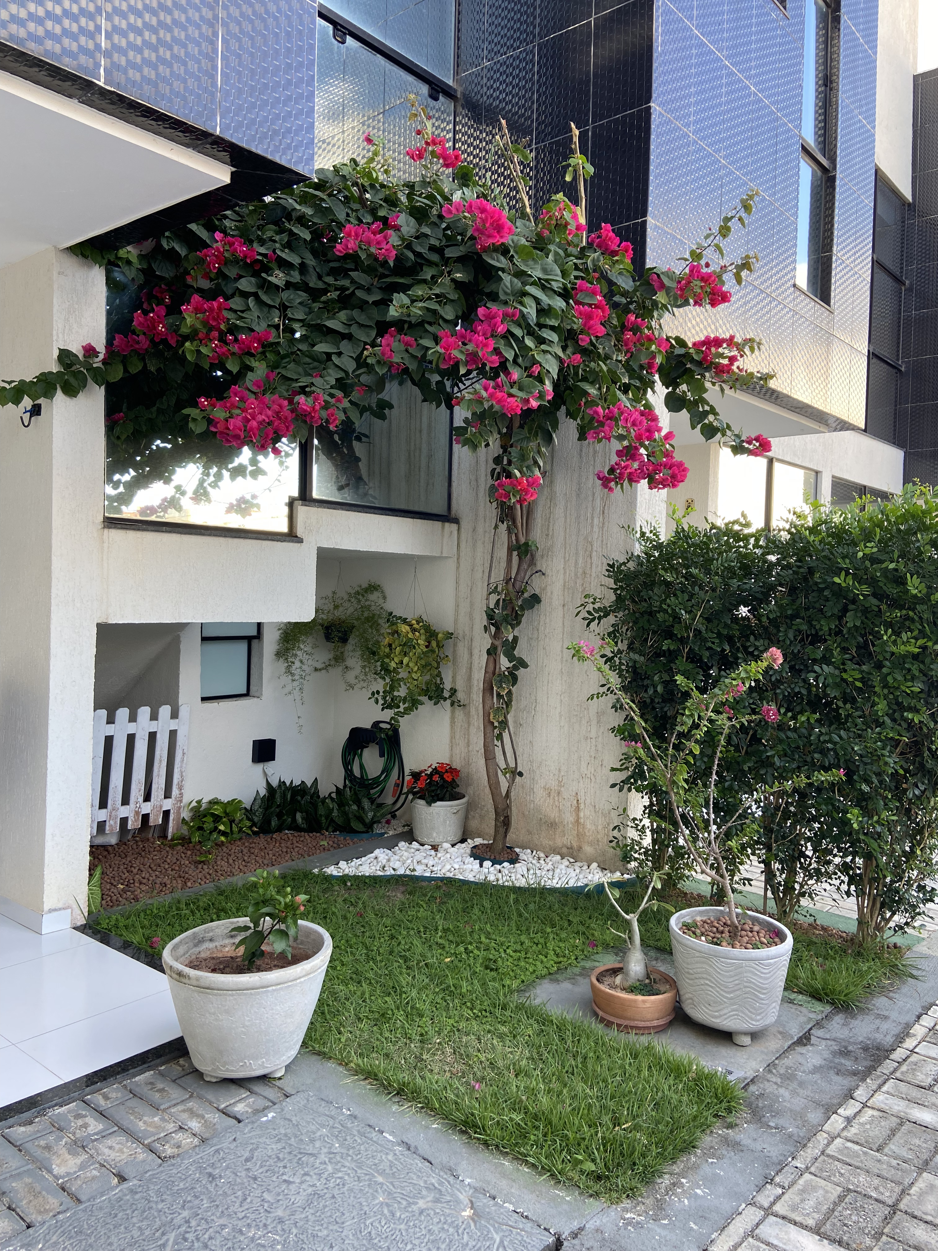 Casa, 2 quartos, 80 m² - Foto 13